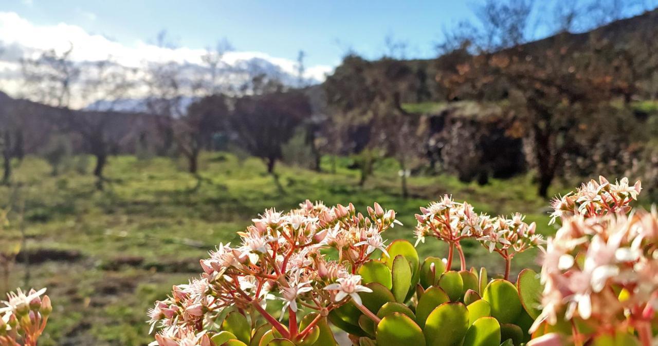 Cortijo Aguacha Villa Bayacas Eksteriør billede