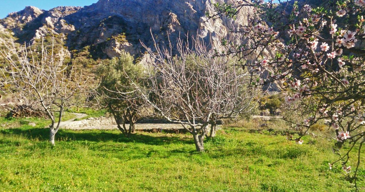 Cortijo Aguacha Villa Bayacas Eksteriør billede