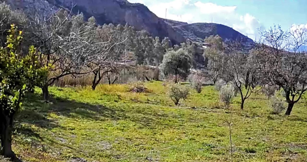 Cortijo Aguacha Villa Bayacas Eksteriør billede