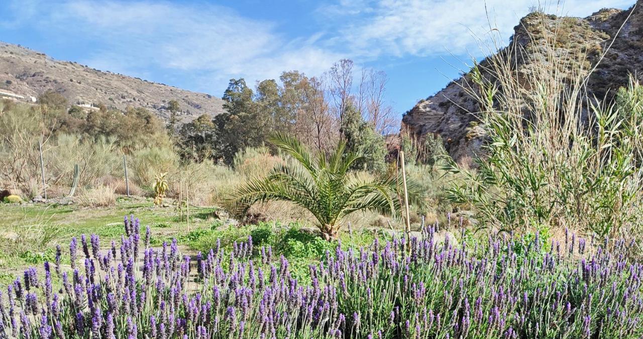 Cortijo Aguacha Villa Bayacas Eksteriør billede