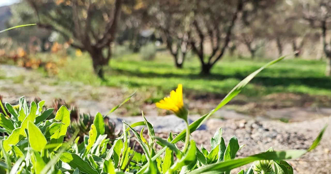 Cortijo Aguacha Villa Bayacas Eksteriør billede