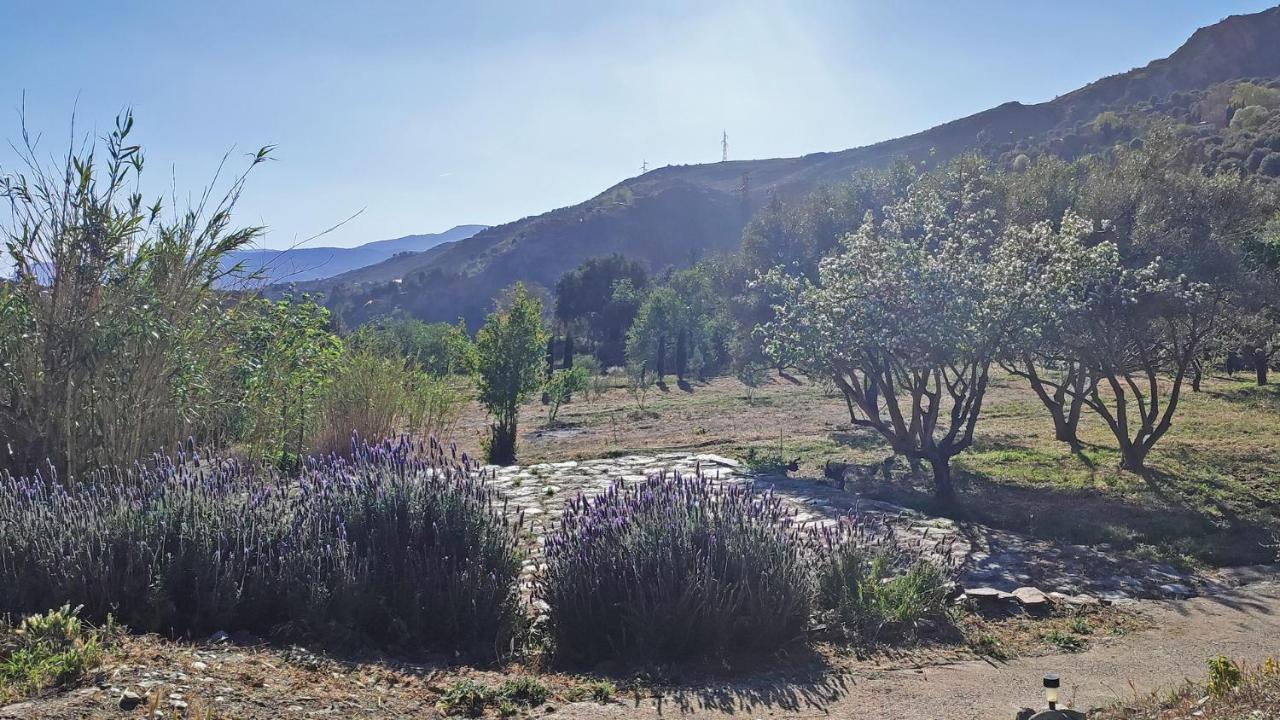 Cortijo Aguacha Villa Bayacas Eksteriør billede